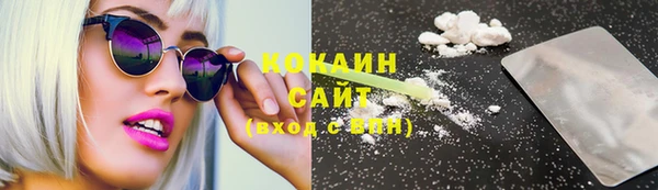 индика Лихославль