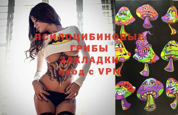 стафф Куйбышев