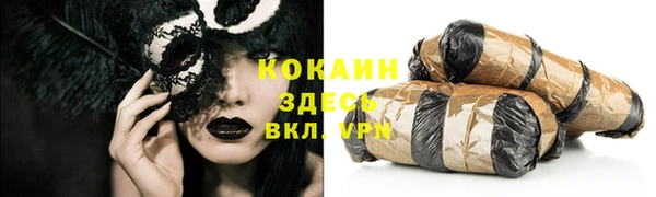 индика Лихославль