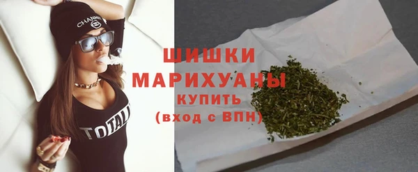 индика Лихославль
