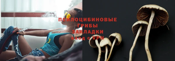 прущая мука Липки