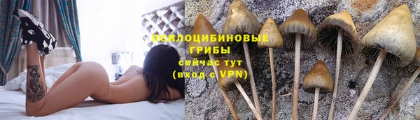 индика Лихославль